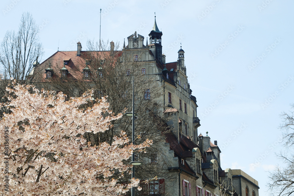 Panorama of Sigmaringen castle, Baden Wuerttemberg, Germany