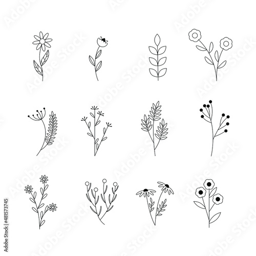 Wallpaper Mural set of floral elements Torontodigital.ca