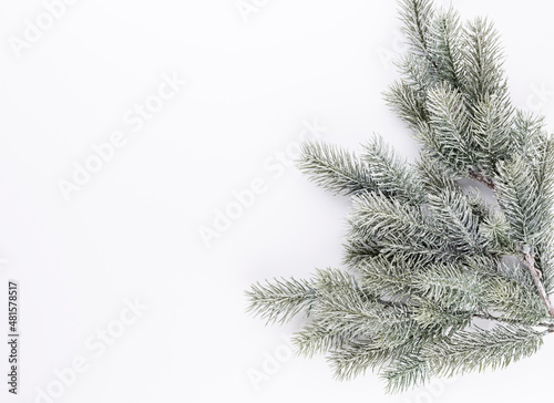 Christmas border  fir branches on a white background © gitusik