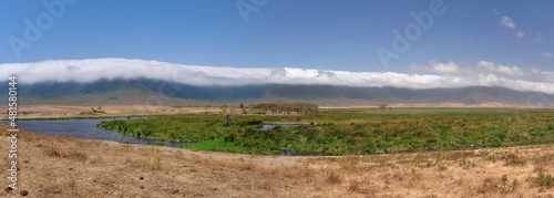 Ngoro Ngoro crater - Tanzania photo