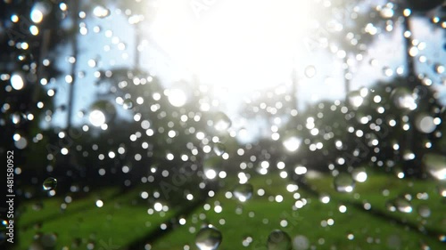 Pure irrigation water splash from landscaping sprinkler in super slow motion in bright sunny day. Refreshing wet environment rendered in realistic 3d