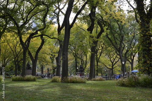 Central Park - New York