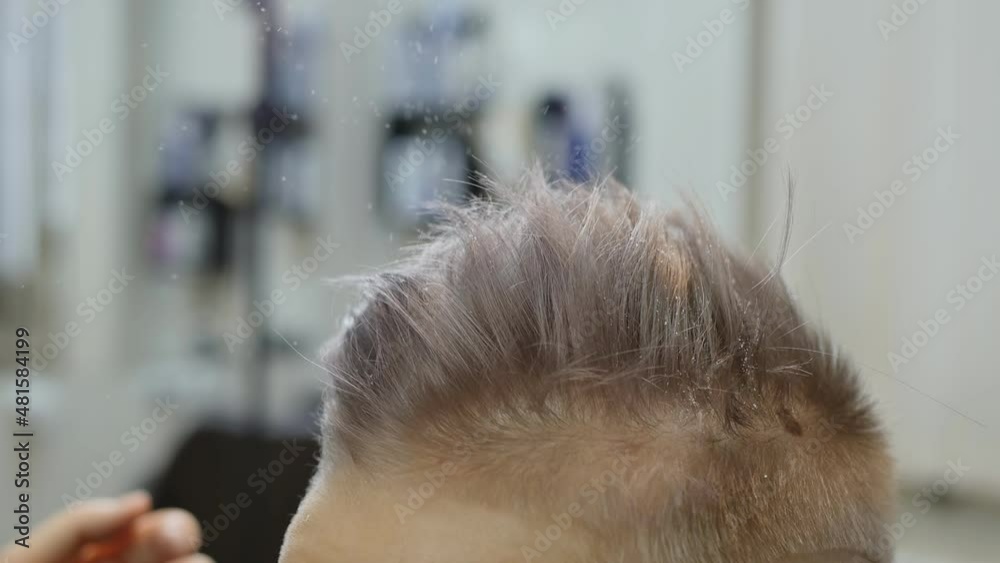 a hairdresser puts a haircut for a teenage girl, pouring powder into her hair for volume and hand style her hair. Slow motion. Close-up. Fashion and beauty a hairdresser puts a haircut for a teenage girl, pouring powder into her hair for volume and hand style her hair. Slow motion. Close-up. Fashion and beauty