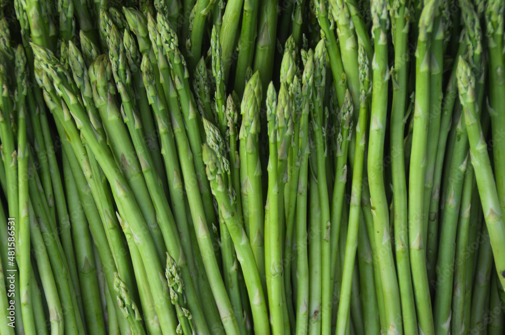 Close up of fresh wild asparagus sold in the local market of Luang Prabang, Laos Close up of fresh wild asparagus sold in the local market of Luang Prabang, Laos