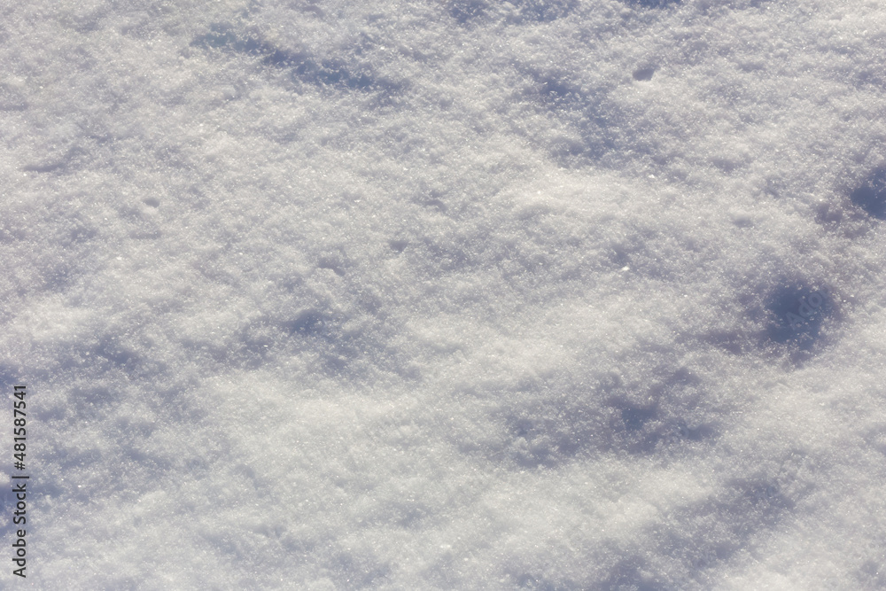 Fototapeta premium Fresh fluffy snow in the sun
