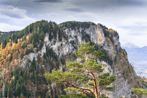 rocky mountain landscape