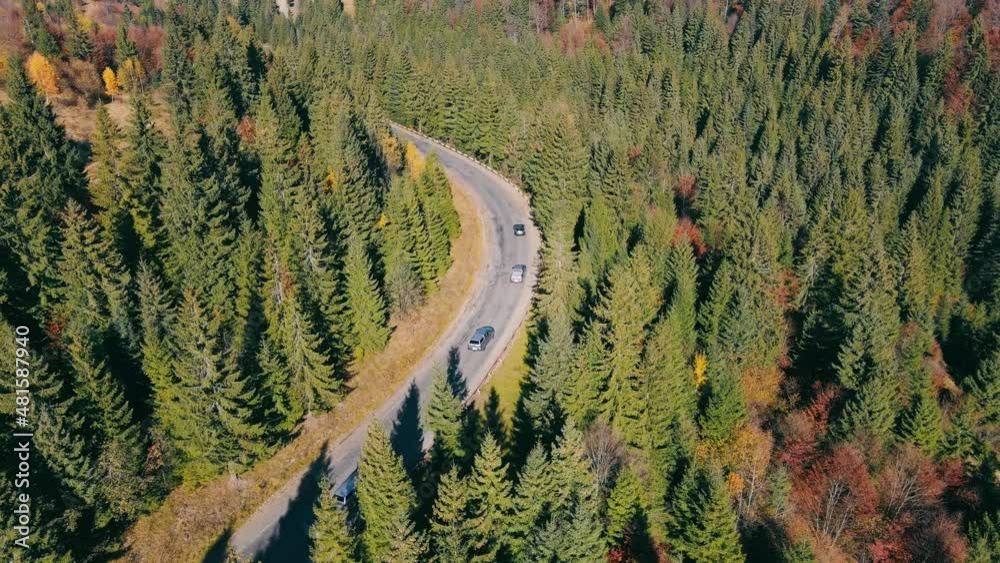 Aerial View from above on a car serpentine mountain road in a picturesque mountain area. Beautiful nature and green Christmas trees standing next to the highway.