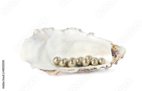 Oyster shell with golden pearls on white background