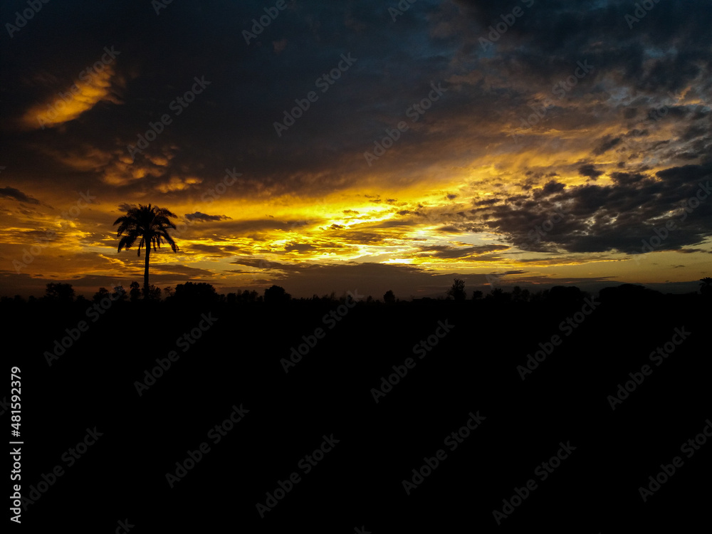 Maasai mara sunset with palm trees before a thunderstorm,
