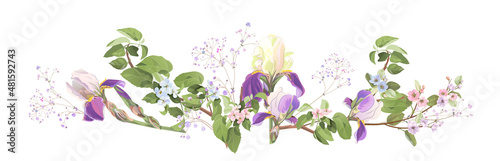 Panoramic view with spring blossom, blue iris, gypsophila. Twigs with light florets on white background. Digital realistic botanical illustration for design in watercolor style. Vintage, vector