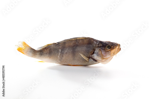Dried perch fish on a white background