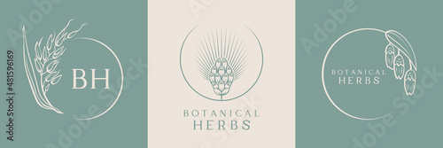 Collection of botanical logos with herbs. A set of floral emblems of botanical herbs. Beautiful icons of herbs for natural and organic products or cosmetics photo