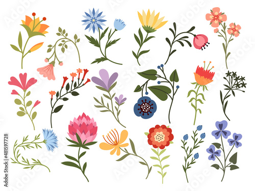 Set of stylized flowers. Collection of colorful decorative flowers. Flower with ornaments. Botanical. Natural elements. Illustration for children. Vector illustration on white background.