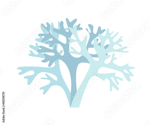 Irish moss silhouette in three colors