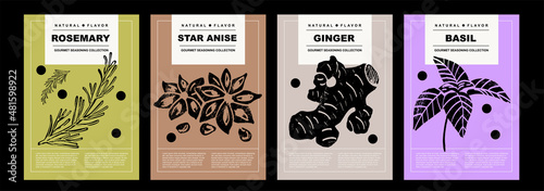 Rosemary, star anise, ginger, basil. Set of posters of spices and herbs in a abstract draw design. Label or poster for food preparing and culinary. Simple, flat design. For poster, cover, banner. 