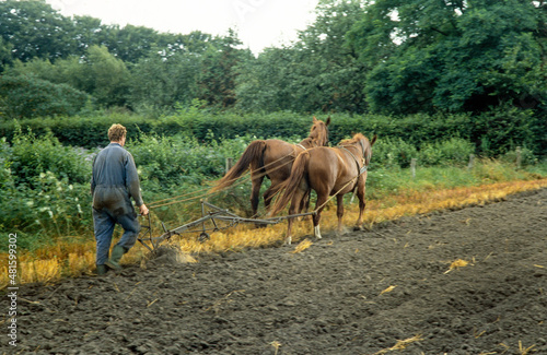 Horse drawn plough. Ploughing by horses. Norg  Drente Netherlands photo