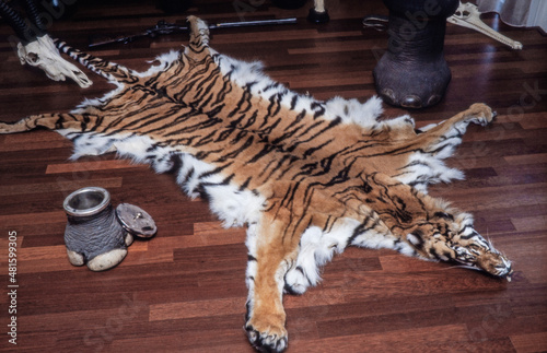 Tiger skin. Ivory Elefant foot. Forbidden import. Endangered species. Forbidden goods by customs. Restricted or prohibited articles.