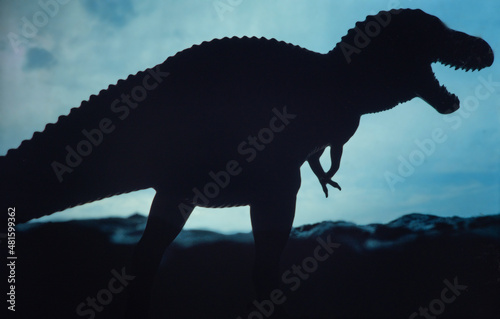 Fototapeta Naklejka Na Ścianę i Meble -  Tyrannosaurus Rex dinosaur