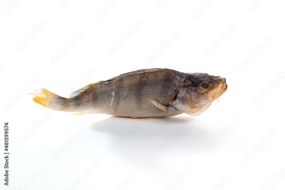 Dried perch fish on a white background