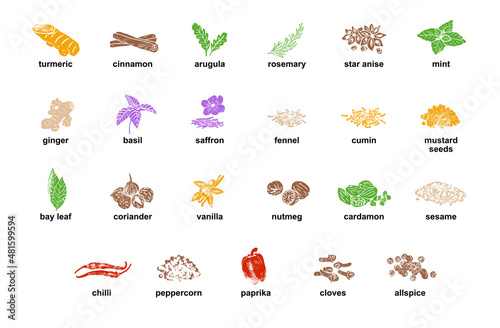 Kitchen herbs and spices isolated vector set. Illustration of ingredient herb, garlic and spice for cooking.