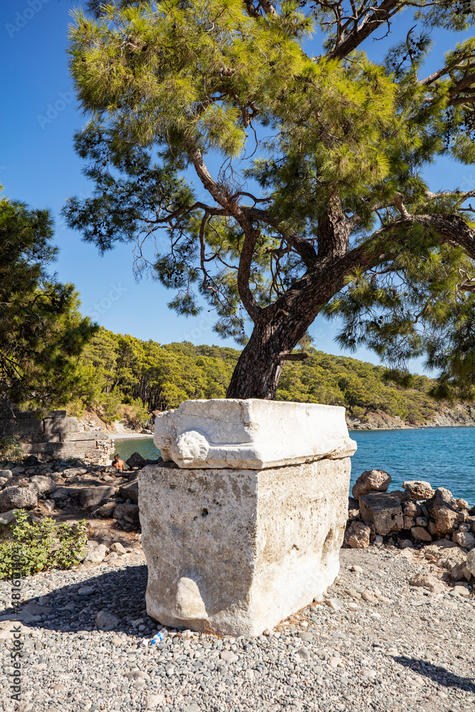 Ruins of the aqueduct of the ancient ancient city of Phaselis illuminated by the bright sun in Pine forest, woods in sunny weather in Turkey, Antalya, Kemer. Turkey national nature landmarks. Ruins of the aqueduct of the ancient ancient city of Phaselis illuminated by the bright sun in Pine forest, woods in sunny weather in Turkey, Antalya, Kemer. Turkey national nature landmarks.