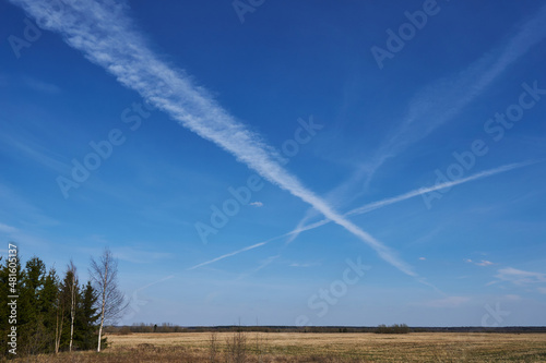 blue sky with white traces from a flying plane in a field and trees in spring