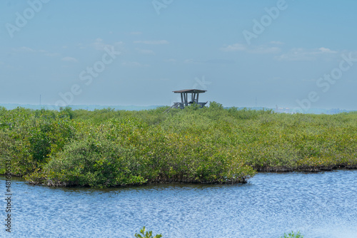 View from Meritt Island, Florida, USA. photo