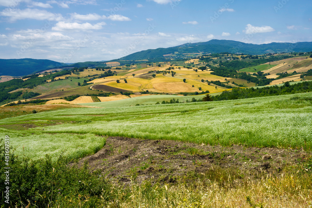 Landscape in Campobasso province, Molise, Italy Landscape in Campobasso province, Molise, Italy
