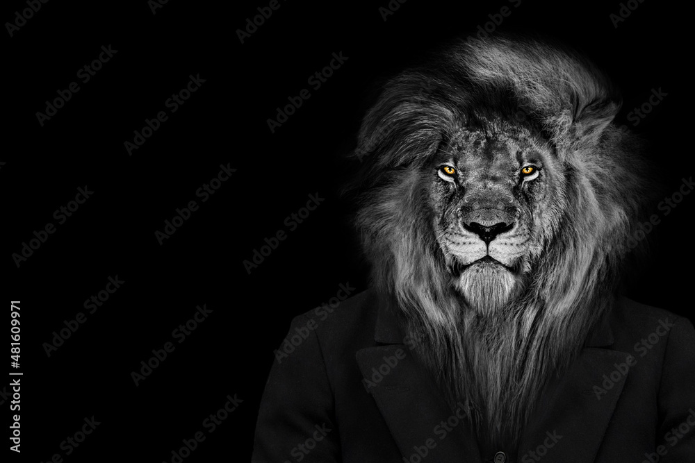 Man in the form of a Lion , The lion person , animal face isolated black  white Stock Photo | Adobe Stock