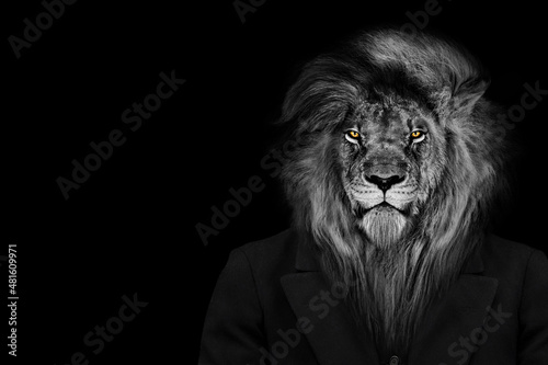 Man in the form of a Lion   The lion person   animal face isolated black white