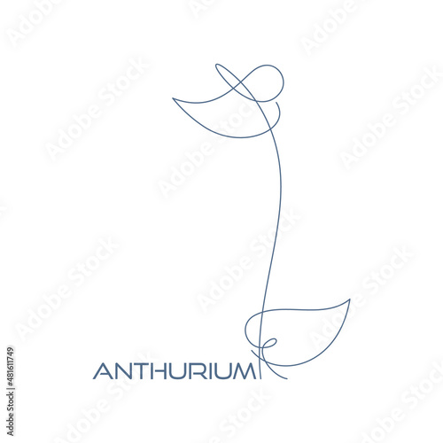 Vector outline of a flower. Below the text - anthurium. Botanical line art.