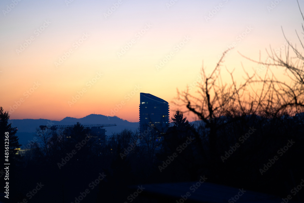 Beautiful sunrise at City of Zürich on a cold winter day with Swiss Alps in the background, focus on background. Photo taken January 18th, 2022, Zurich, Switzerland.
