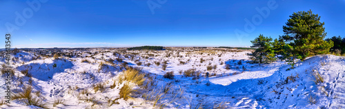 panorama with snowy dunes in winter