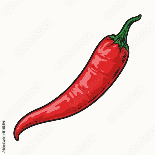 Fresh red chili pepper on isolated background