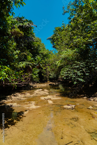 River with lush trees in the middle of the Kalimantan forest 