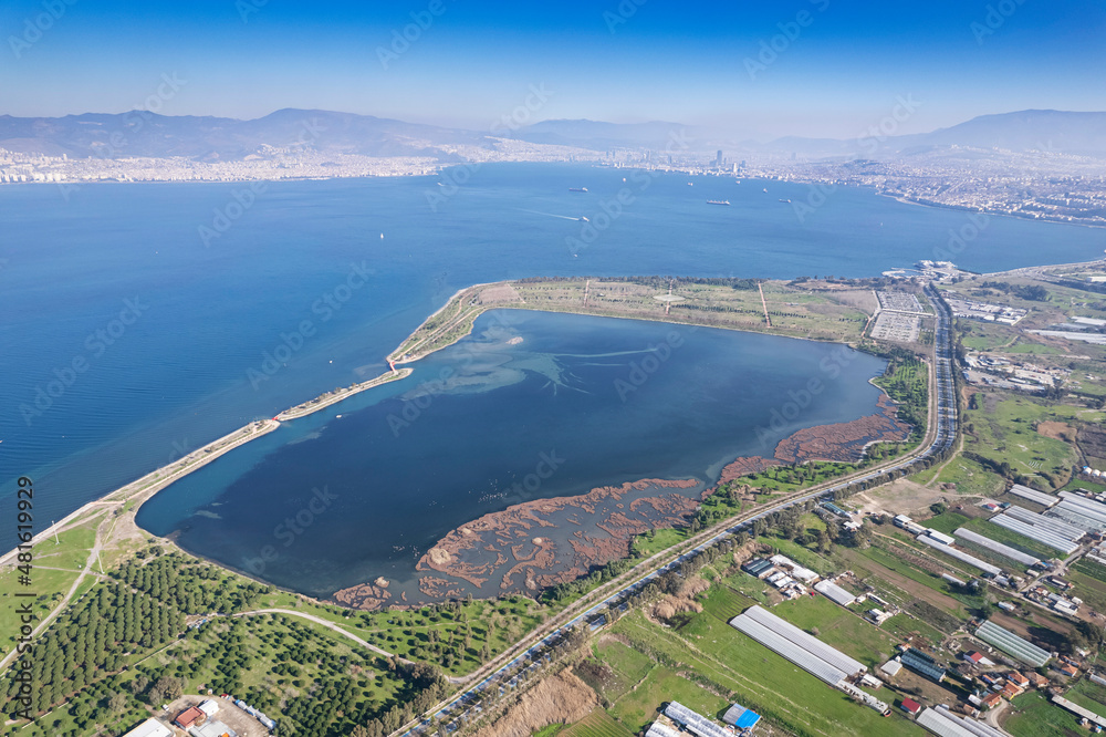 Fototapeta premium Flamingos seen at the Cakalburnu lagoon of Izmir City Forest Inciralti.