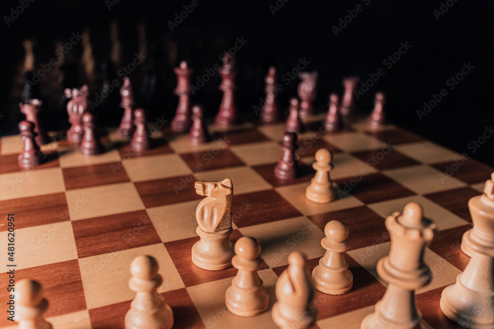 Double King's Pawn Opening 1.e4 e5, chess pawn and knight aperture Double King's Pawn Opening 1.e4 e5, chess pawn and knight aperture