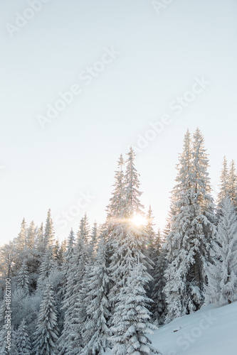 Mountain landscape in winter © zhukovvvlad
