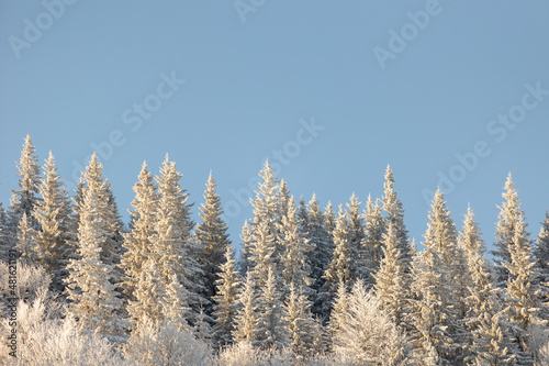 Mountain landscape in winter