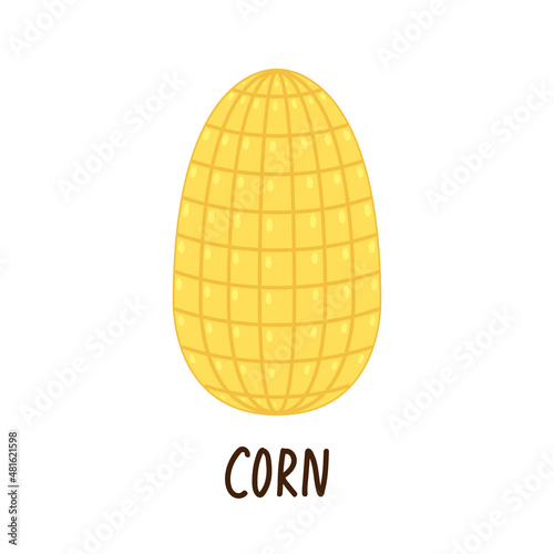 Corn vector. Corn on white background. corn cartoon vector.