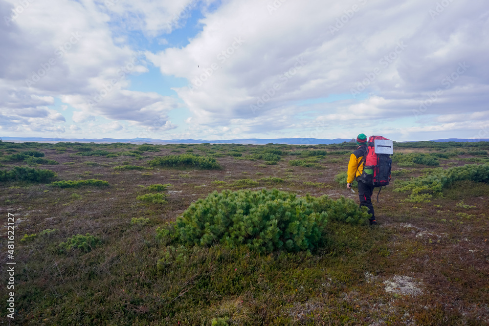 Naklejka premium Traveler in the tundra in the north of Sakhalin Island