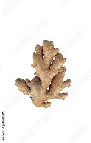 Top view of ginger root isolated on white background.