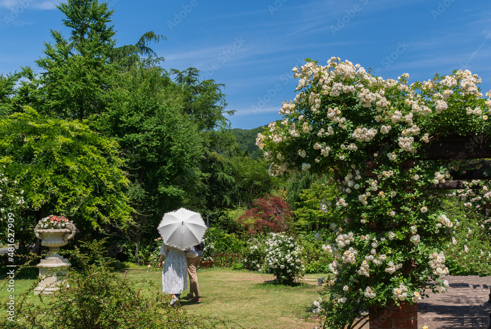 滋賀県ローザンベリー多和田にあるローズガーデン
