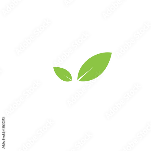 green leaf isolated on white background Related Logo Design For Your Business © Jtabassum