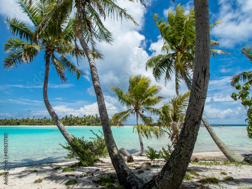 Palm Trees on the Blue Lagoon beach at Rangiroa Atoll, French Polynesia, in the South Pacific photo