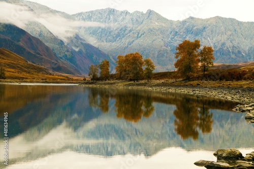 Beautiful view of the mountains and the Katun River in autumn, very beautiful blue color.Mountains in fog, peaks in snow, Trees with yellow leaves are beautifully reflected in the water.Altai. © ЛЮДМИЛА СОЕНГОШЕВА