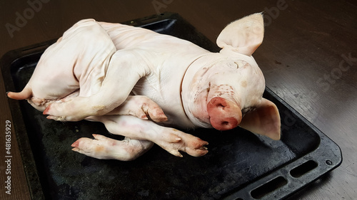 the carcass of a small dairy fresh piglet lies on the Protvin. preparation of an exquisite festive pork dish photo