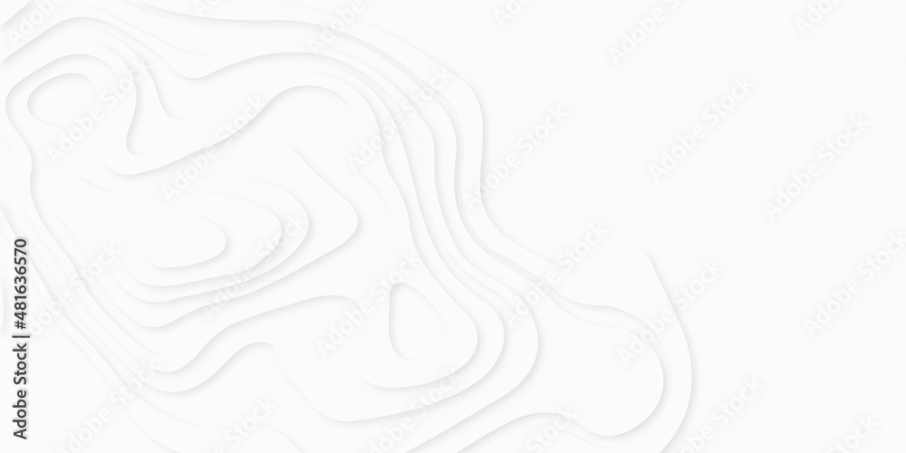 Abstract grayscale background in paper cut and craft style, curved layers and shadow. Paper art 3d vector banner, White paper cut background, realistic papercut decoration textured with wavy layers. Abstract grayscale background in paper cut and craft style, curved layers and shadow. Paper art 3d vector banner, White paper cut background, realistic papercut decoration textured with wavy layers.