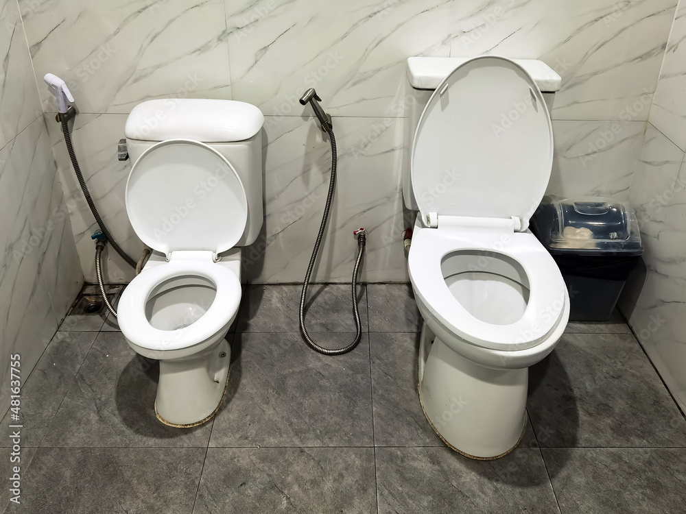 Two toilet seats installed together in one bathroom, a big one is for ...