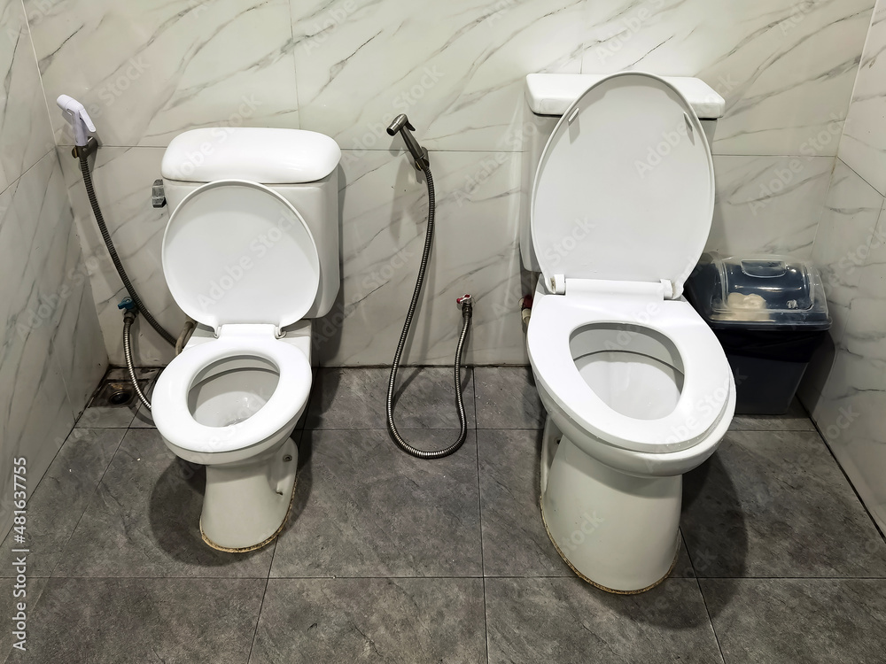 Foto de Two toilet seats installed together in one bathroom, a big one